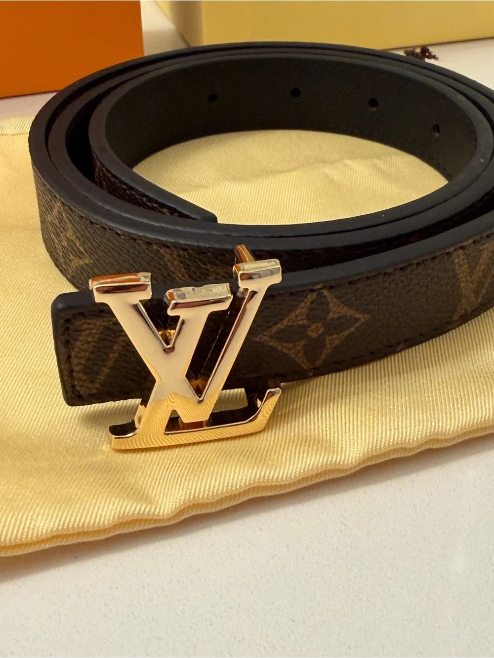 Louis Vuitton classic versatile